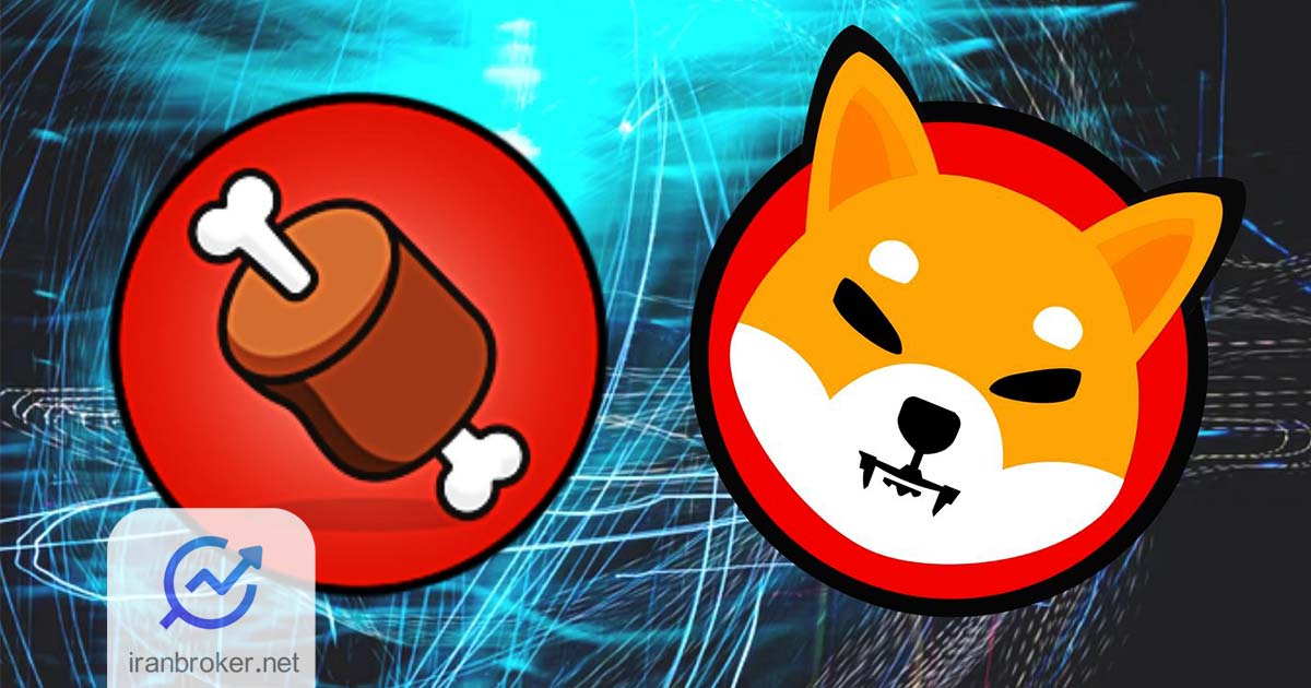 معرفی کامل شیباسواپ و ارز دیجیتال BONE (بُن)