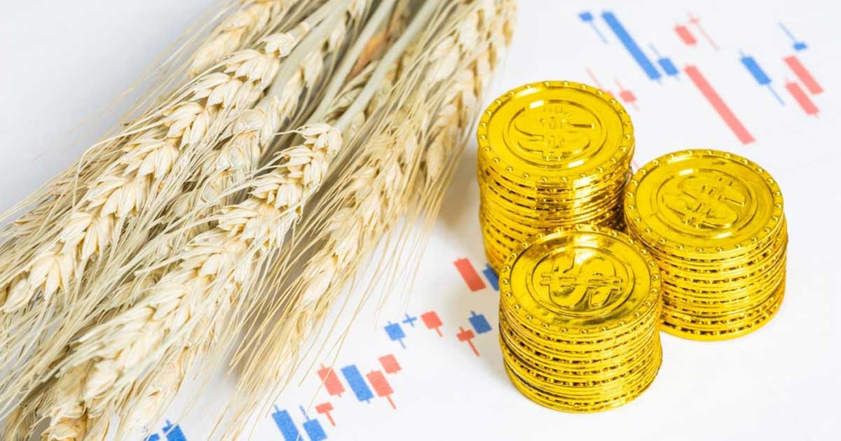 تجارت گندم در فارکس