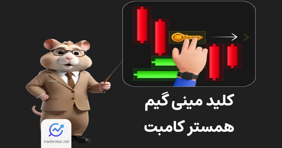 کلید همستر کامبت + ویدیو وارد کردن