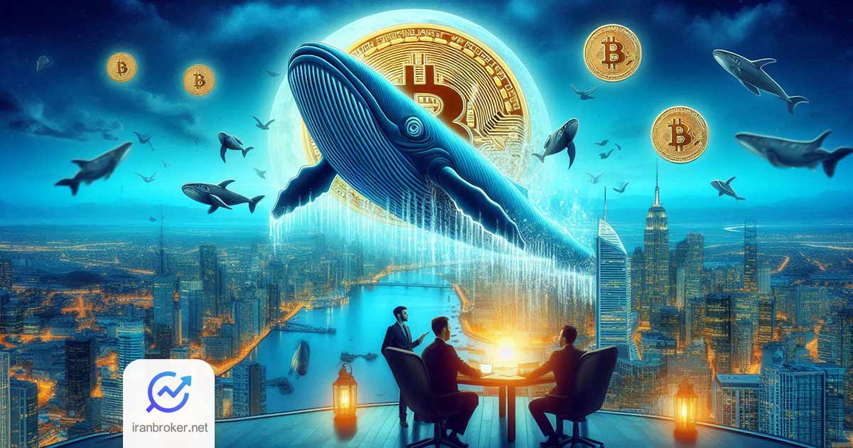 آیا نهنگ‌ های بیت‌ کوین در حال خرید در کف قیمت هستند؟