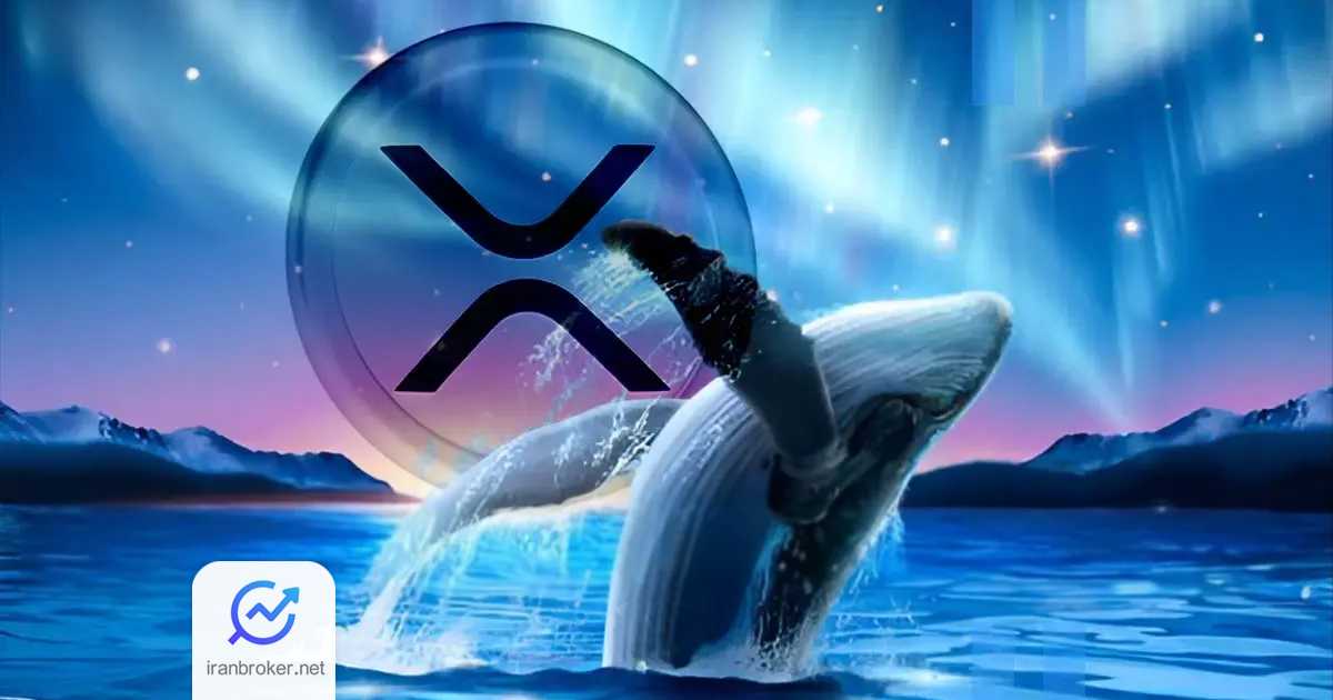 انتقال ۷۰ میلیون دلاری نهنگ ریپل به کوین بیس؛ آغاز ریزش یا تله بازار؟