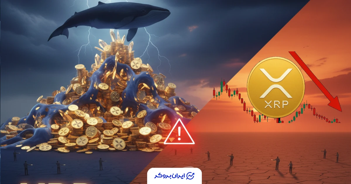 فهرست ثروتمندان XRP فاش شد: آیا سرمایه‌گذاران خرد از بازار خارج شده‌اند؟