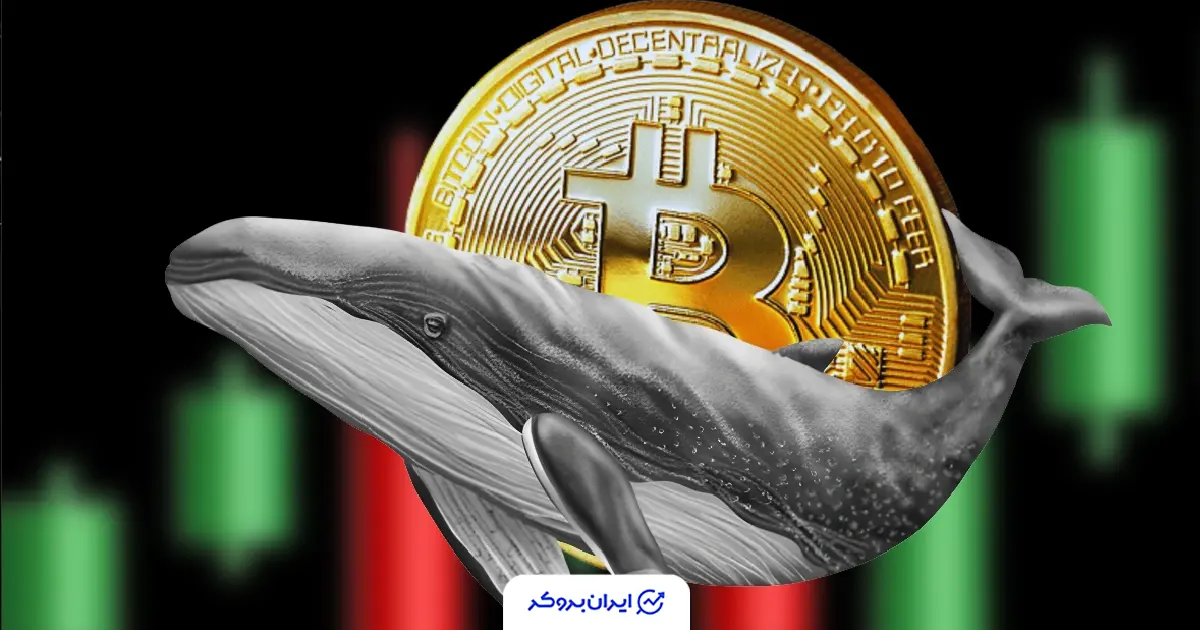 چرخش مهم در بازار بیت کوین؛ هولدرهای بلندمدت دوباره خریدار شدند
